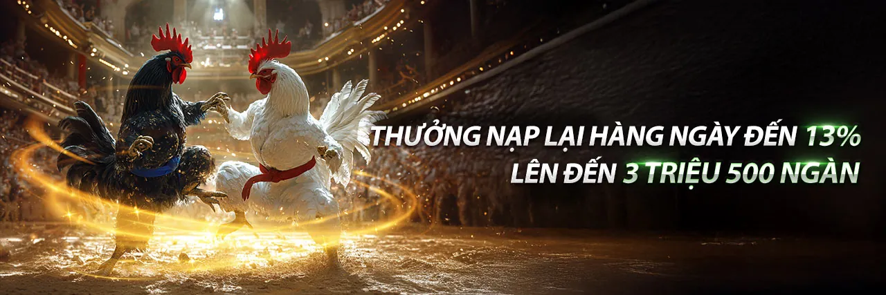Hình ảnh giới thiệu về vin33 link mới - Nền tảng cá cược trực tuyến hàng đầu